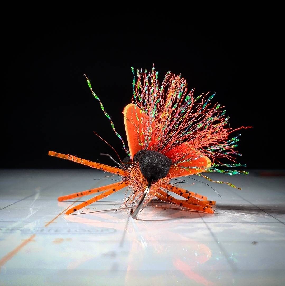 Brood XIV Cicada - 3 Pack