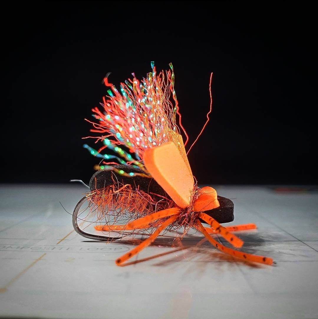 Brood XIV Cicada - 3 Pack