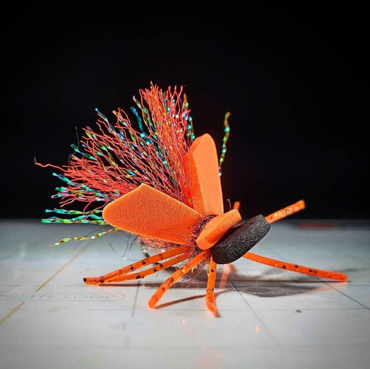 Brood XIV Cicada - 3 Pack