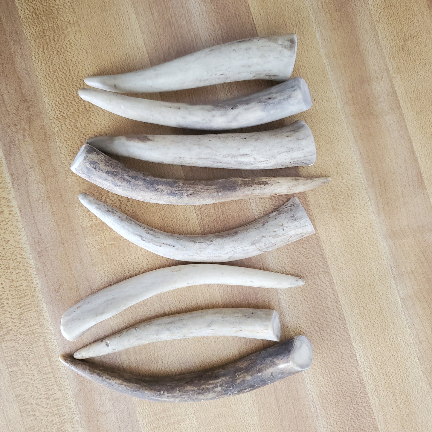 Deer Antler Bodkin for Fly Tying or Sewing