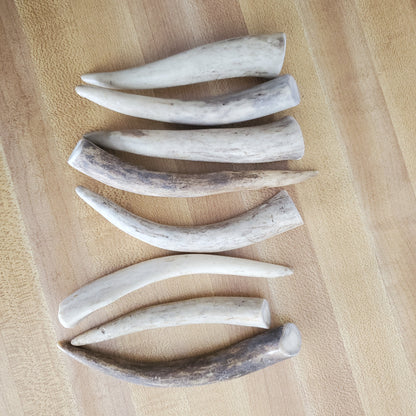 Deer Antler Bodkin for Fly Tying or Sewing